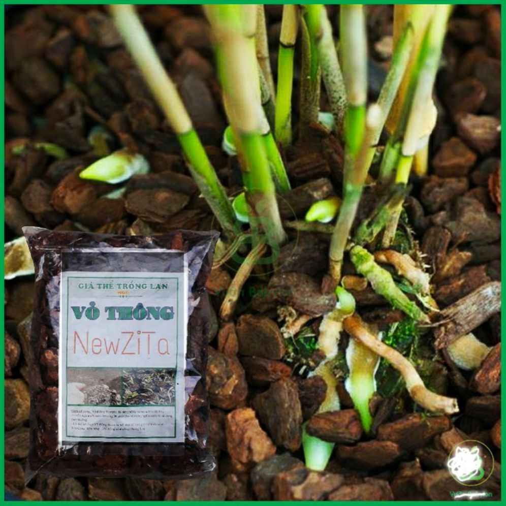 3 gói vỏ thông trồng lan - vỏ thông newzita.