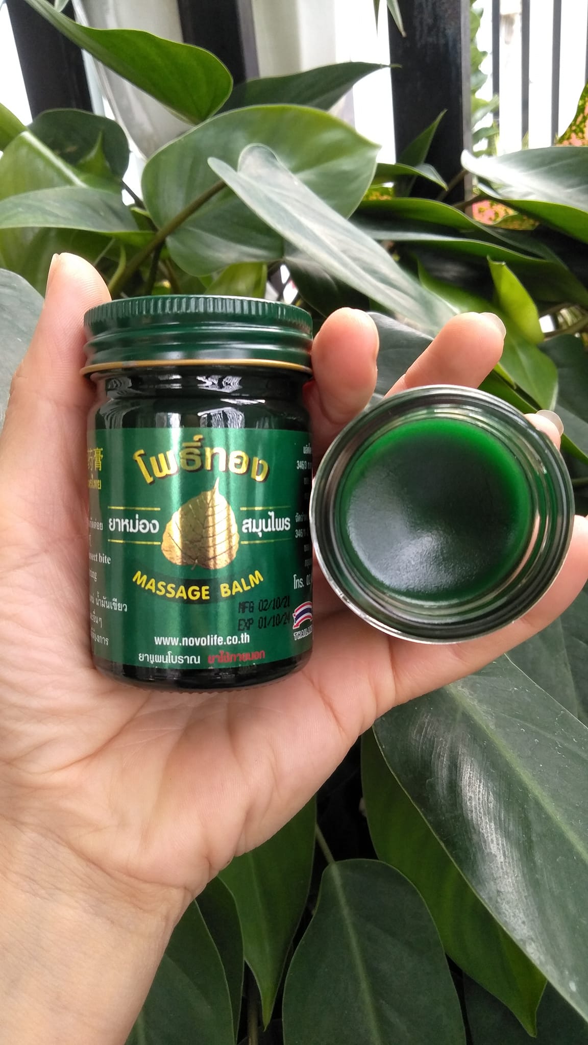 Dầu cù là bồ đề thái lan
