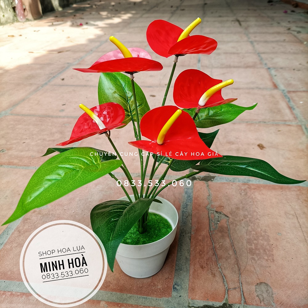 Cây hoa giả - Cây Hồng Môn Đỏ 5 bông, cao 35cm - Cây Ko Kèm chậu