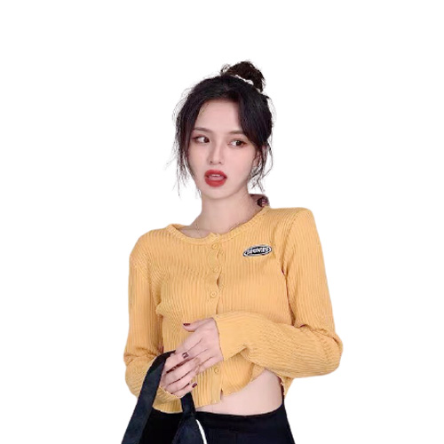 [HCM]Áo thun nữ gân co giản tay dài cổ tròn thời trang mới phù hợp đi làm đi chơi Adc 64