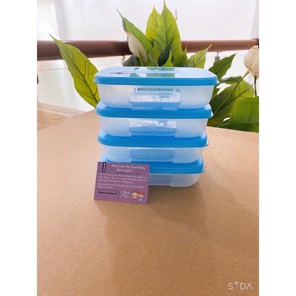 Hộp trữ đông dẹt Tuperware 300ml, hộp đựng thực phẩm nhựa nguyên sinh