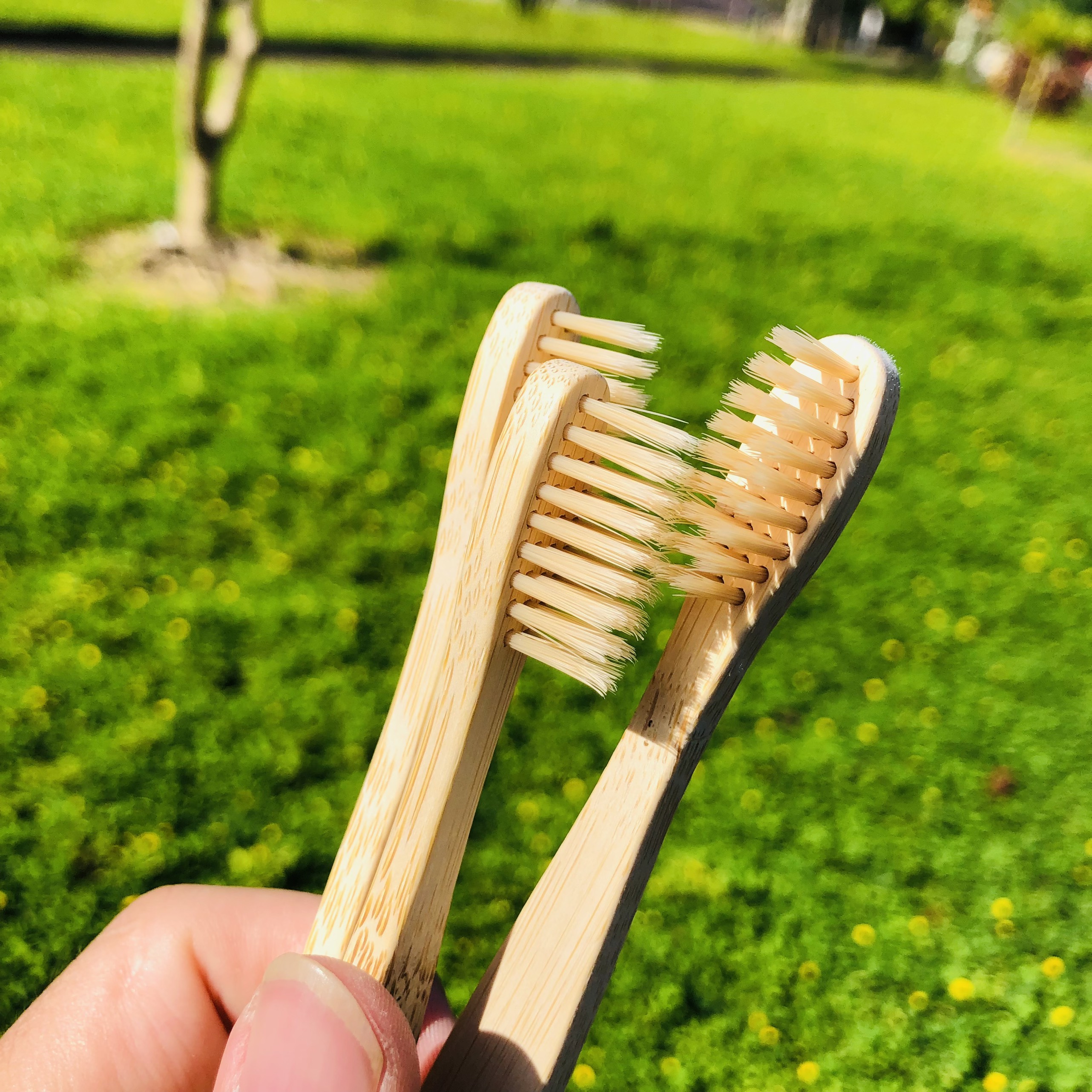 Bàn chải gỗ tre nhỏ, Bàn chải đánh răng trẻ em Dalat Bamboo phủ cacbon bảo vệ môi trường