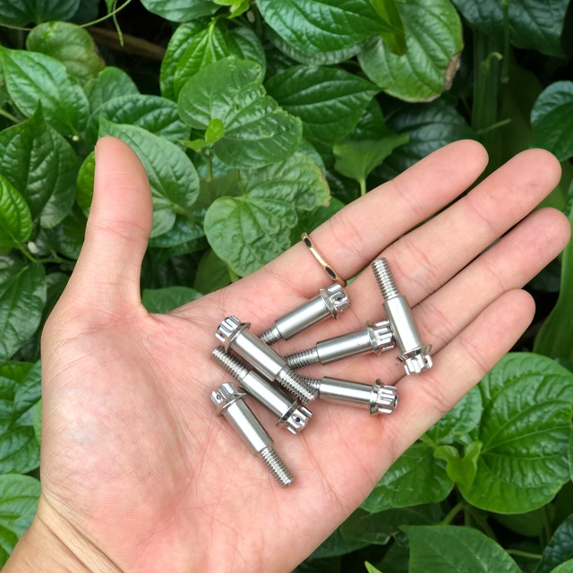 Ốc tay thắng inox Salaya THÁI - cho xe số