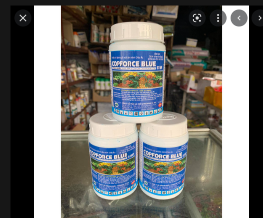 Chế phẩm trừ nấm bệnh cây trồng copforce blue 51wp hũ 100g