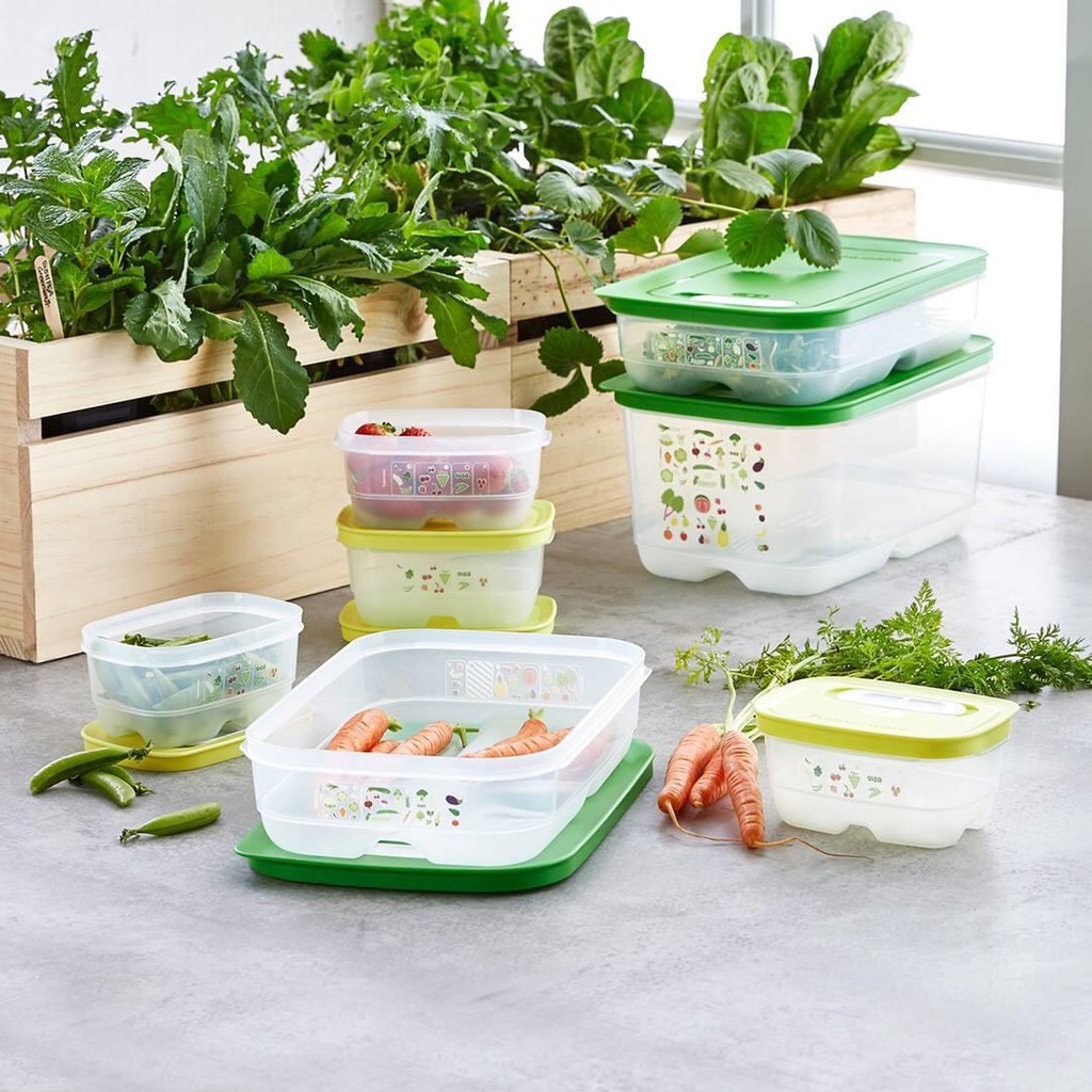 Bộ hộp trữ mát có nút hô hấp ventsmart 9 hộp tupperware chính hãng