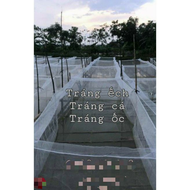 Tráng nuôi nhốt cá, ếch cao 1m rộng 1m dài 2m