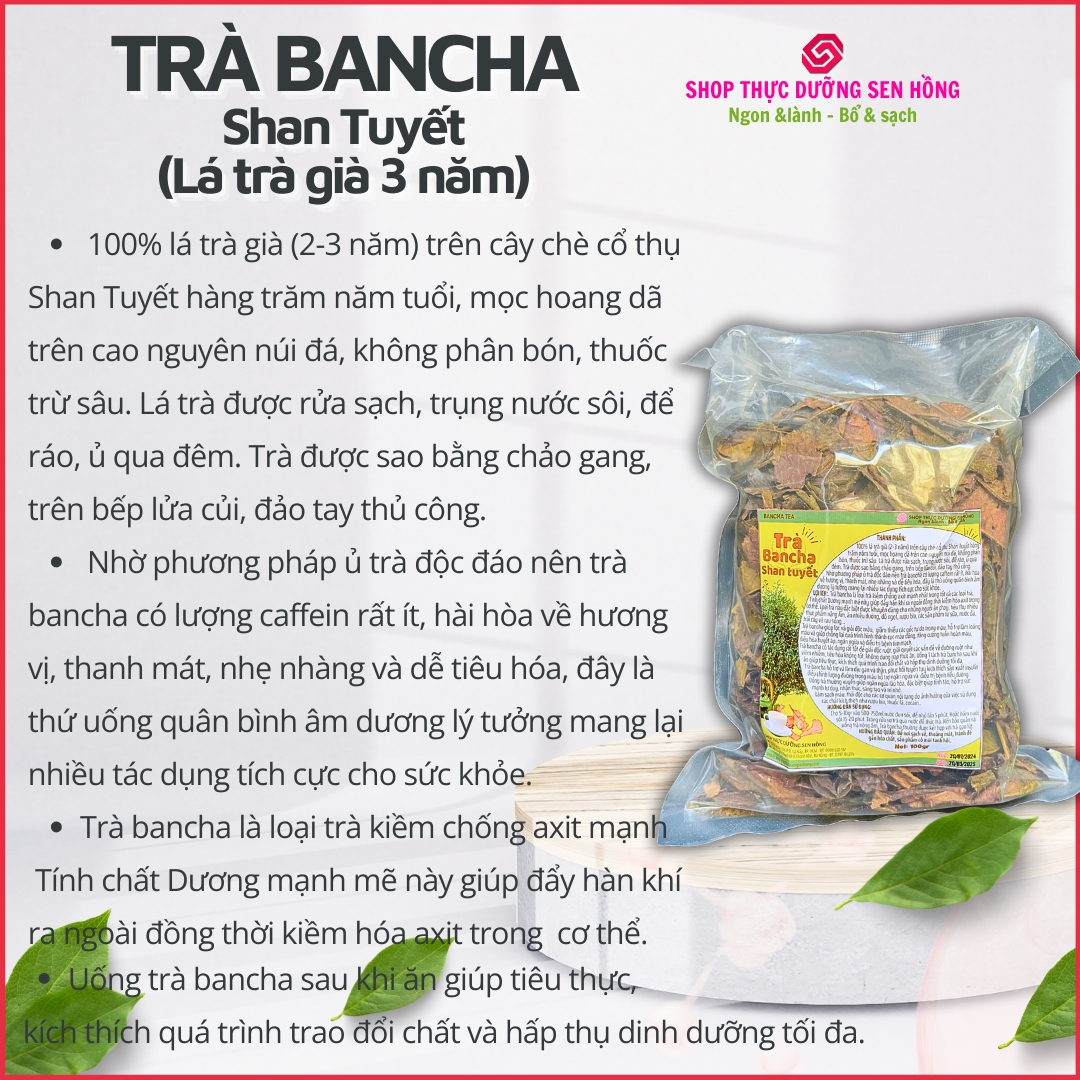 Trà Bancha Shan Tuyết (100gr) Lá trà già lâu năm trên cây chè cổ thụ Shan tuyết