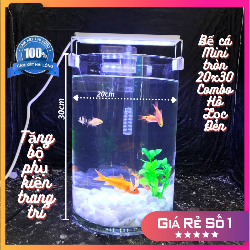 Bể cá mini để bàn tròn D20H30 COMBO Hồ+Lọc+Đèn kèm phụ kiện tiểu cảnh