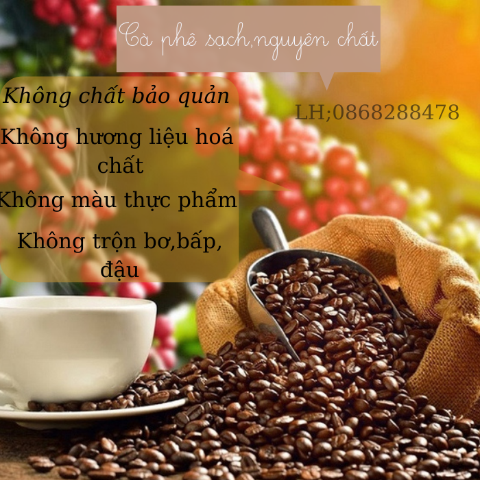 cà phê nguyên chất pha phin robusta 100% từ vườn đắk lắk 500gr ,cafe rang xay nguyên chất gu đắng đậm hậu ngọt gu truyền thống 1