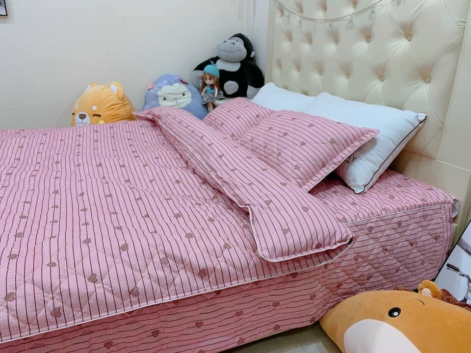 (Rẻ vô địch) Vỏ chăn lồng ruột trần bông cao cấp mẫu Kẻ Tim Hồng dùng làm chăn hè, chăn thu đông có khóa kéo kích thước 1m8x2m