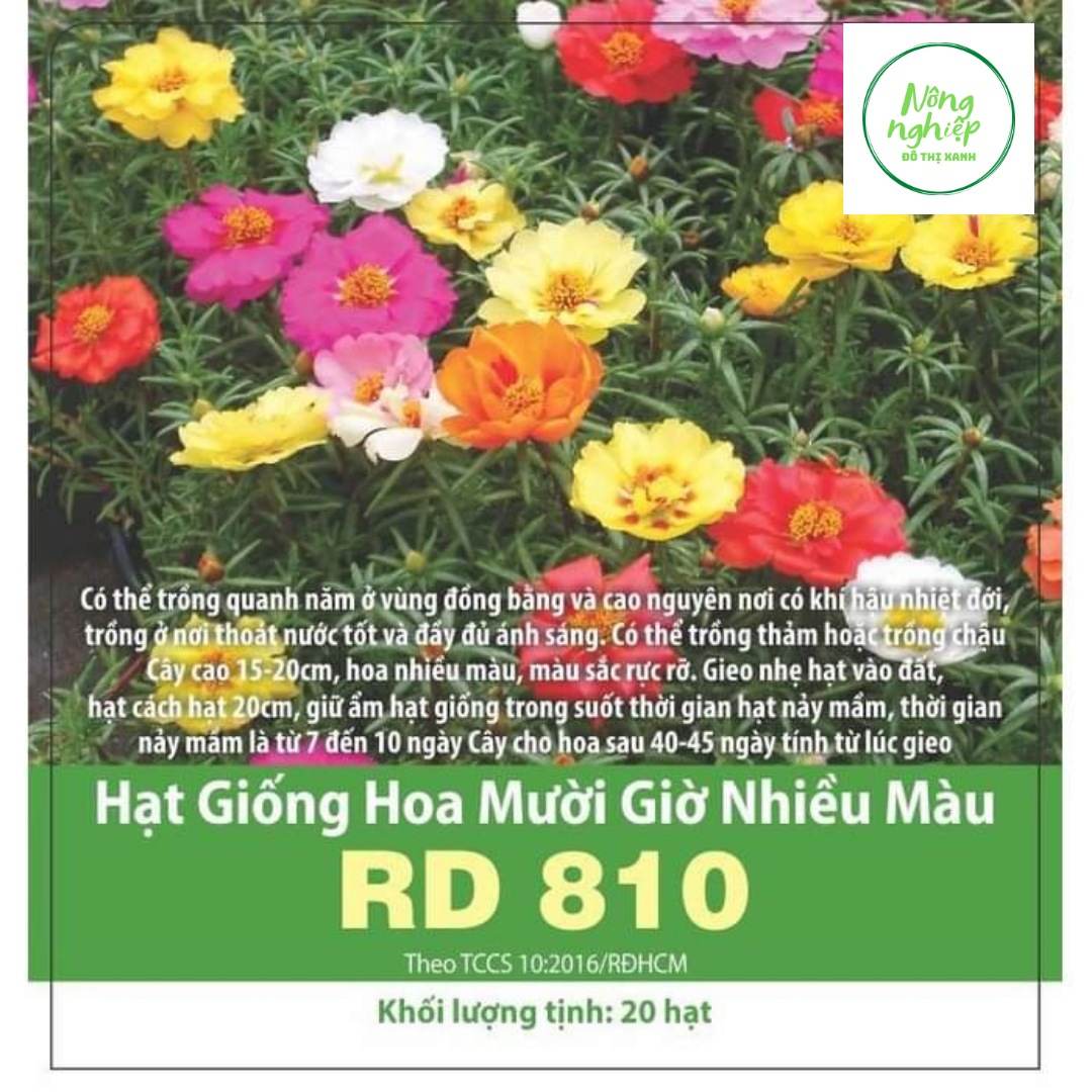 Hạt giống hoa mười giờ nhiều màu