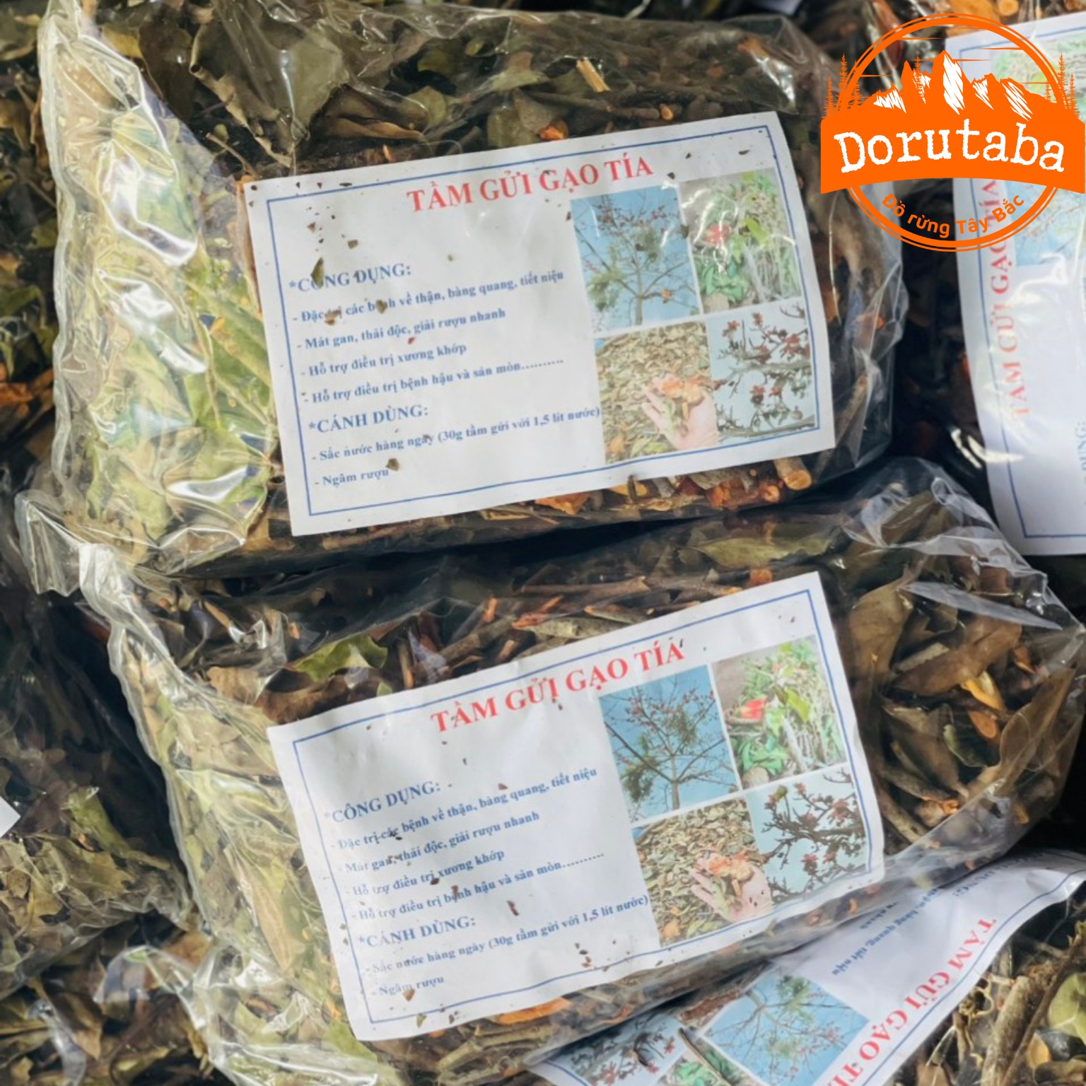 Tầm gửi cây gạo tía khô được lấy trực tiếp từ cây gạo trong rừng Tây Bắc, không qua trung gian
