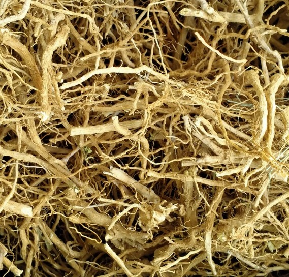 Rễ cà gai leo khô 1kg