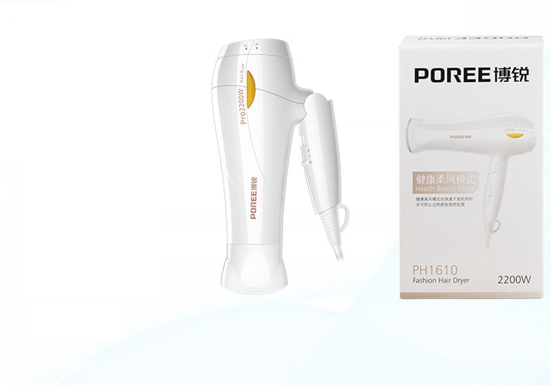 Máy sấy tóc ph1610