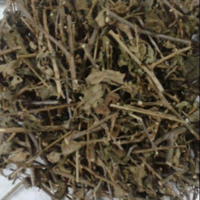 cà gai leo khô cao cấp 500g