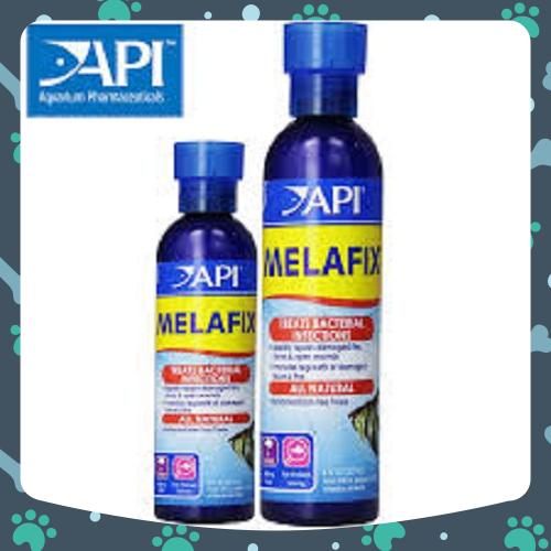 Api melafix/pimafix - chế phẩm kháng khuẩn - bộ đôi hoàn hảo chăm sóc cá cảnh