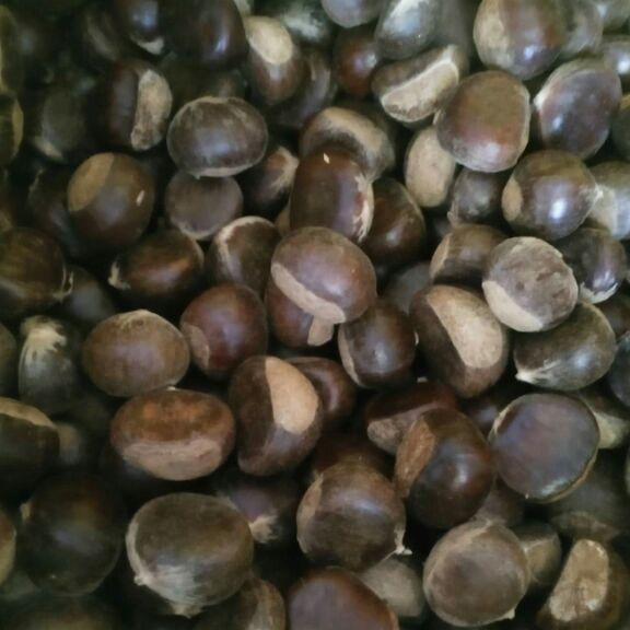 1kg hạt dẻ