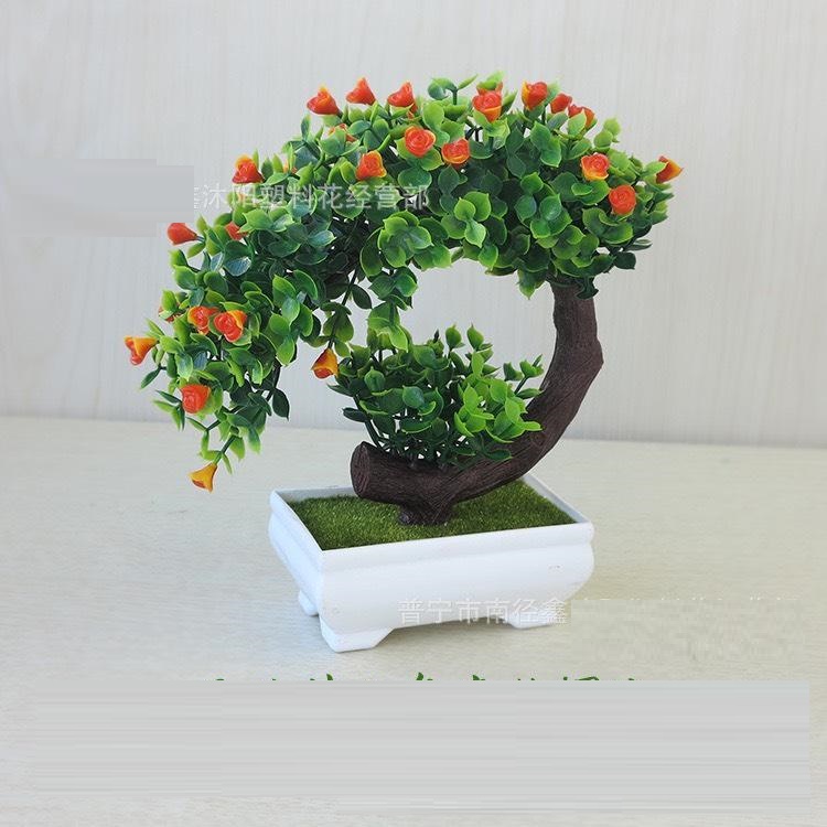 Cây Bon Sai Uốn Cong Trang Trí Bàn Làm Việc