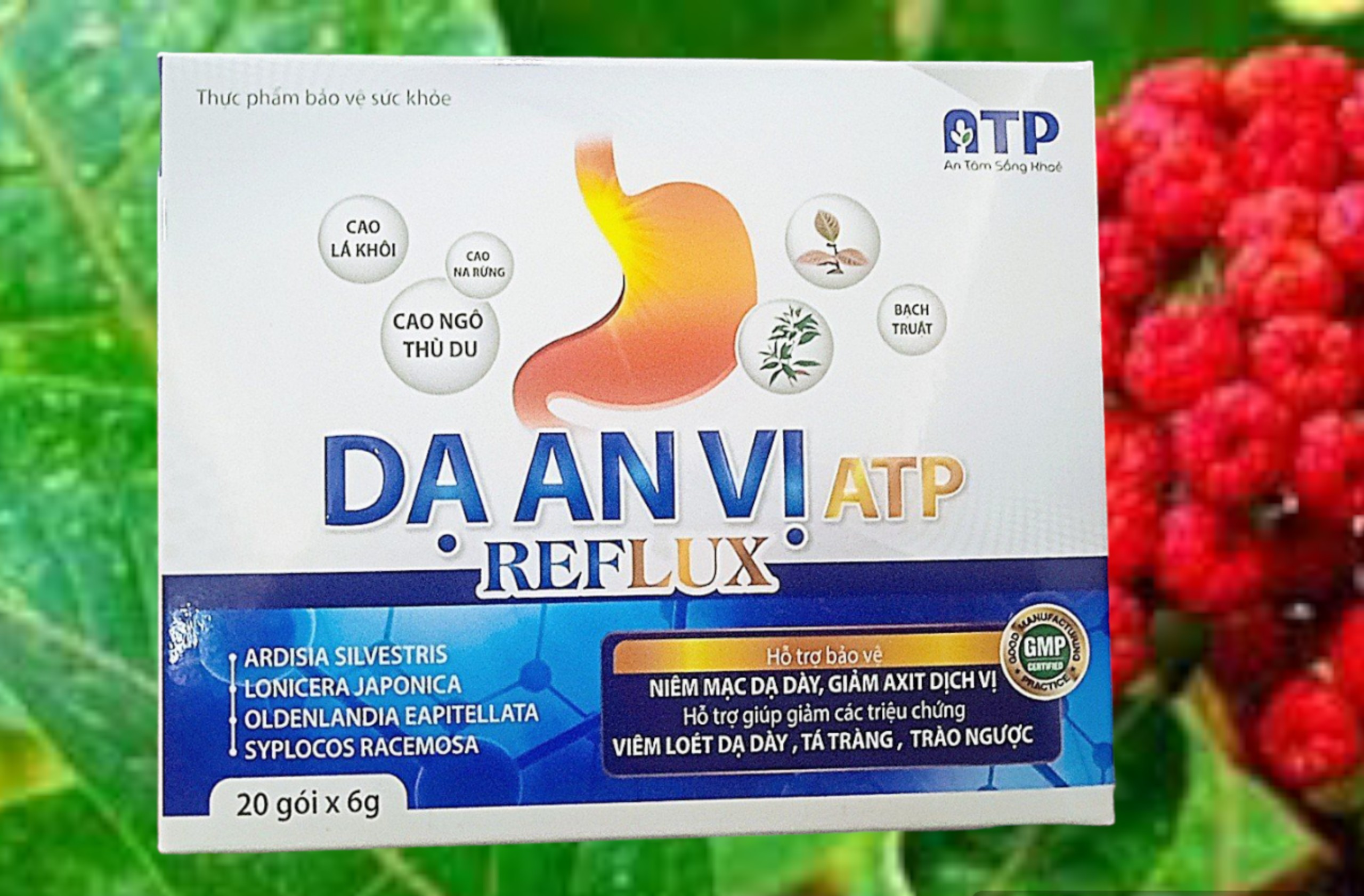 Dạ an vị ATP - Hỗ trợ bảo vệ niêm mạc dạ dày, giảm axit dịch vị
