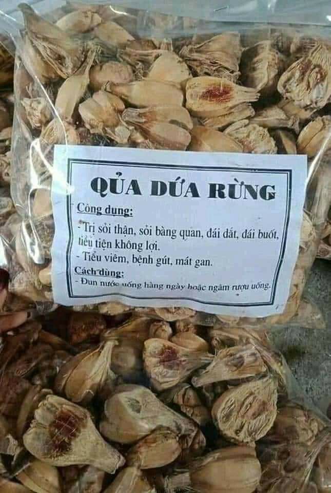Trái dứa rừng khô