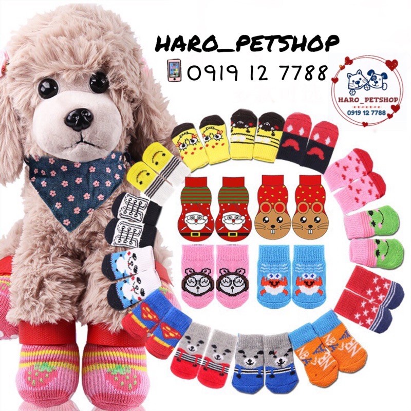 [HCM]Vớ chân cho chó mèo - tất vớ cho chó mèo sản phẩm đa dạng về mẫu mã kích cỡ màu sắc chất lượng tốt cam kết hàng giống với mô tả