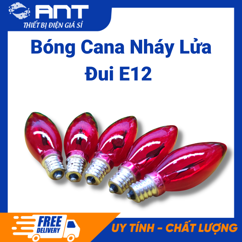 Bóng đèn cana trái nhót nhảy lửa đui e12 - Hòa Thái