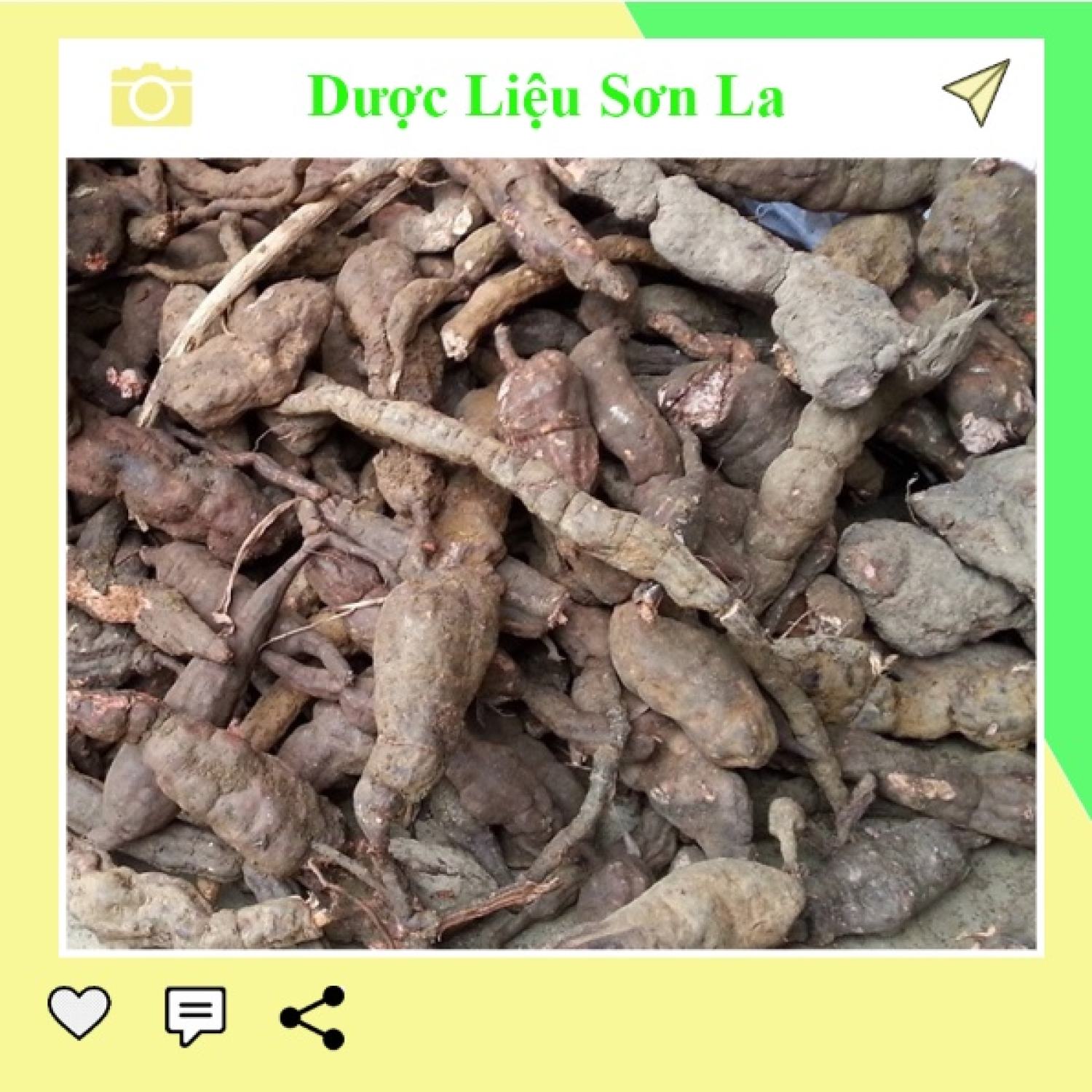 Hà thủ ô đỏ tươi nguyên củ 1 kg