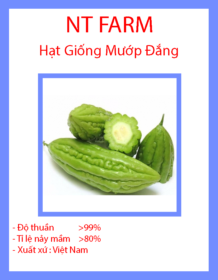 Hạt giống khổ qua f1