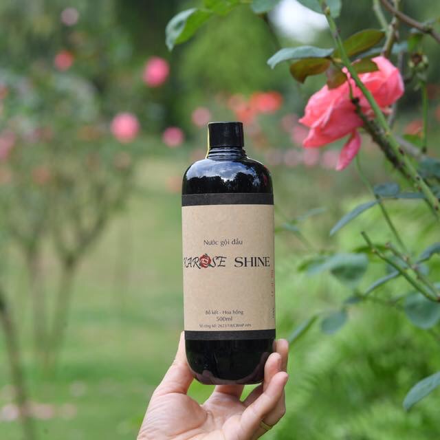 Nước gội đầu karose shine