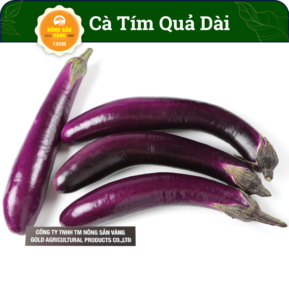 Hạt giống cà tim quả dài, dễ trồng, được nhiều người yêu thích nhất - nông sản vàng