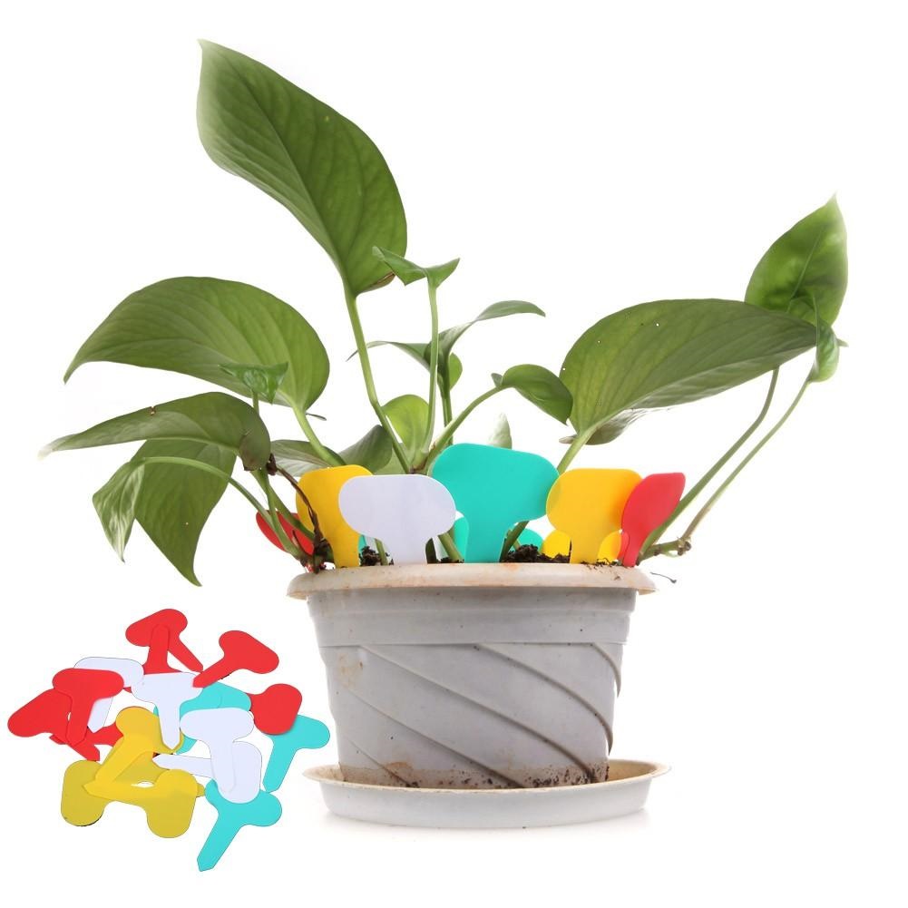 [HCM]Siêu rẻ Combo 100 thẻ ghi tên cây trồng dạng cắm chất liệu nhựa (7x5cm)