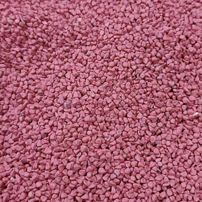 1 kg hạt điều màu
