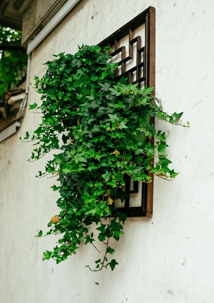 HOA HỒNG ĐẤT SÉT NHẬT - TẶNG CHẬU THUỶ TINH | Lazada.vn