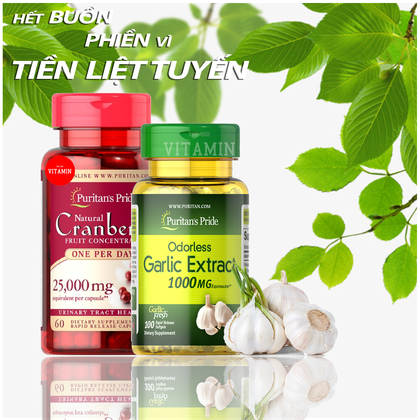 Combo giảm viêm đường tiết niệu, giảm nấm candida ở phụ nữ, giảm cholesterol, chống oxy hóa, vitamin mỹ Puritan's Pride Odorless Garlic 1000mg 100 viên & Puritan's Pride Natural Cranberry 60 viên