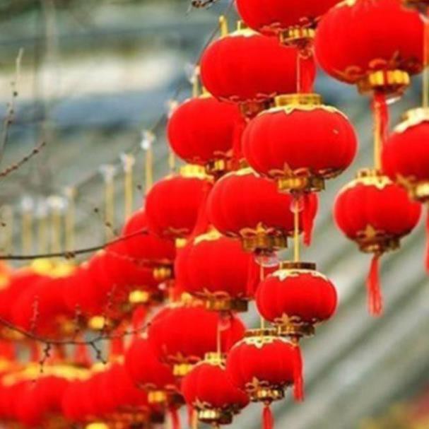 10 quả đèn lồng nhung quả cầu trang trí cây đào, quất ngày Tết
