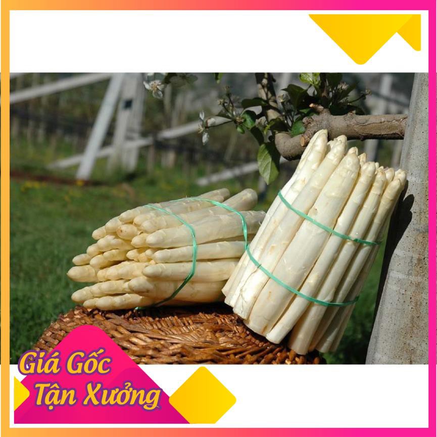 Khu vườn hạt giống măng tây trắng .