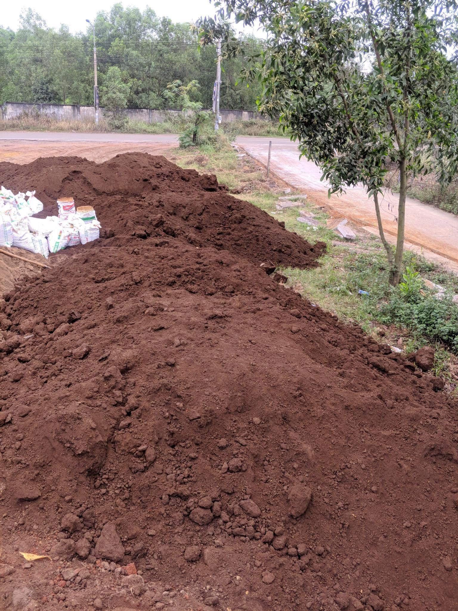 1 kg đất thịt trồng cây giá rẻ