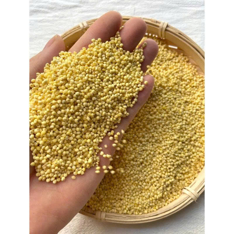 1KG Hạt kê vàng tách vỏ, Hạt kê nếp vàng dẻo,chứa protein, khoáng chất , vitamin và chất xơ