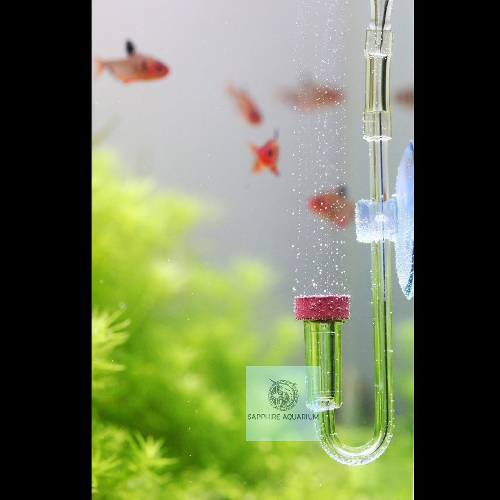 Sủi co2 thủy sinh twinstar co2 diffuser - size s