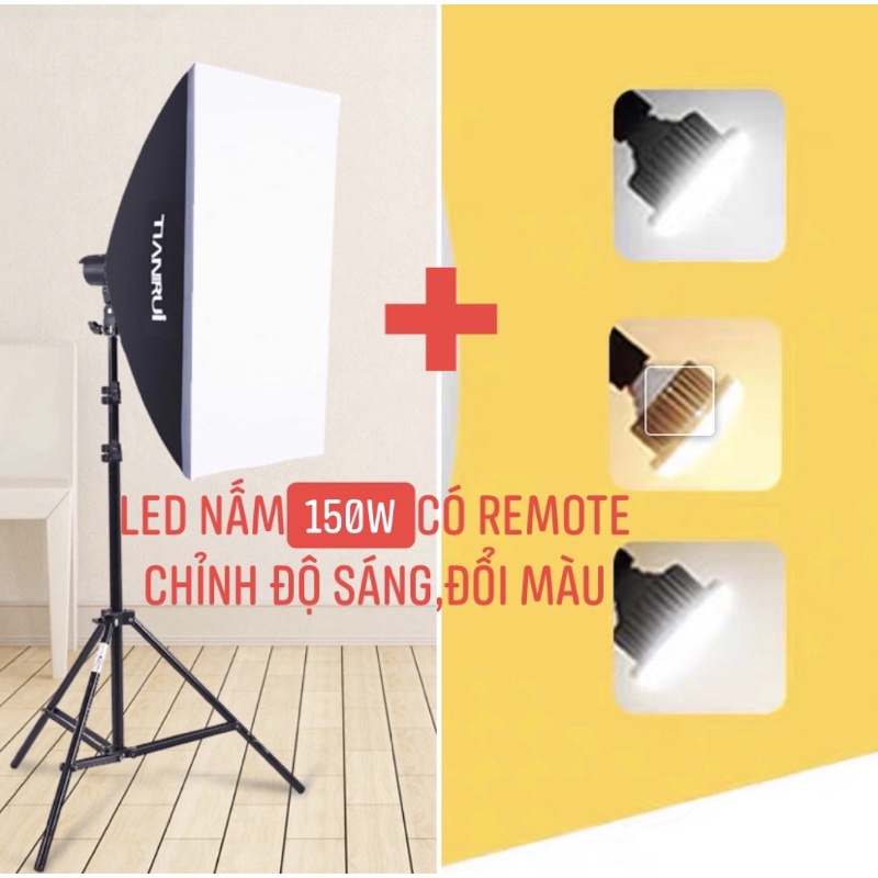 Bộ đèn studio TIANRUI chụp ảnh, quay phim,Livestream chuyên nghiệp, chân đèn cao 2m, softbox 50x70cm