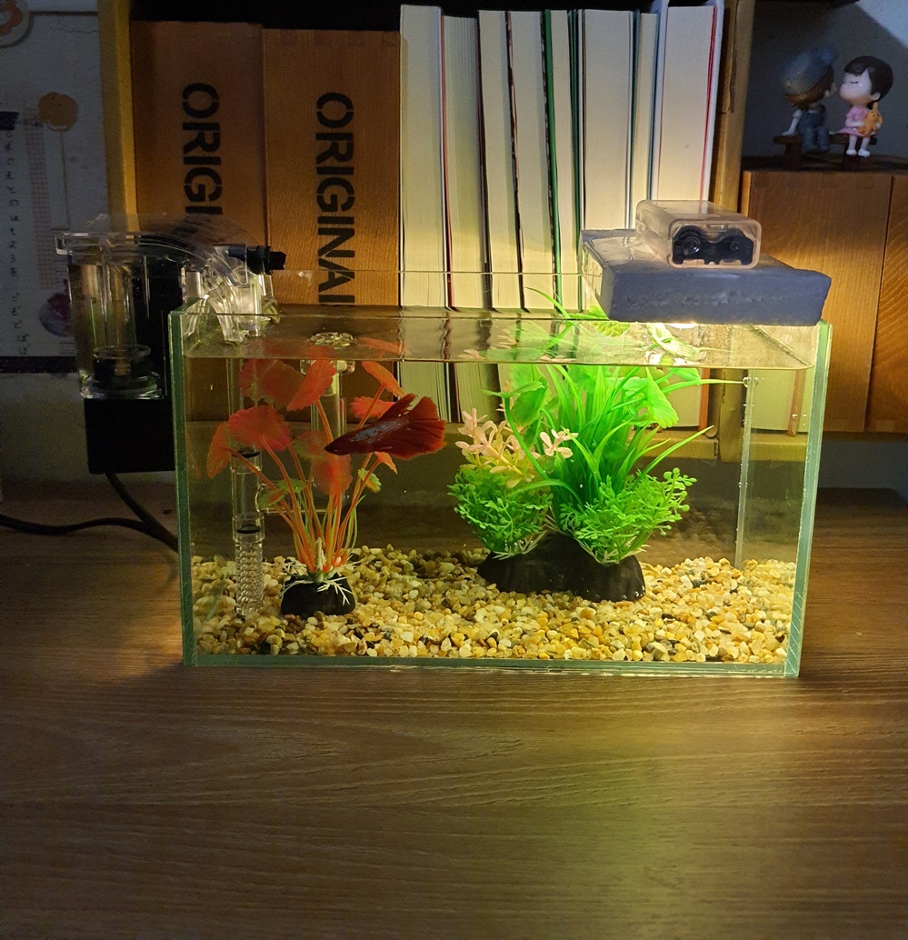 Bể cá mini 24 cm với 6 món (bể 24, sỏi nền, máy lọc, cây nhựa vừa, cây nhựa mini, đèn led xốp)
