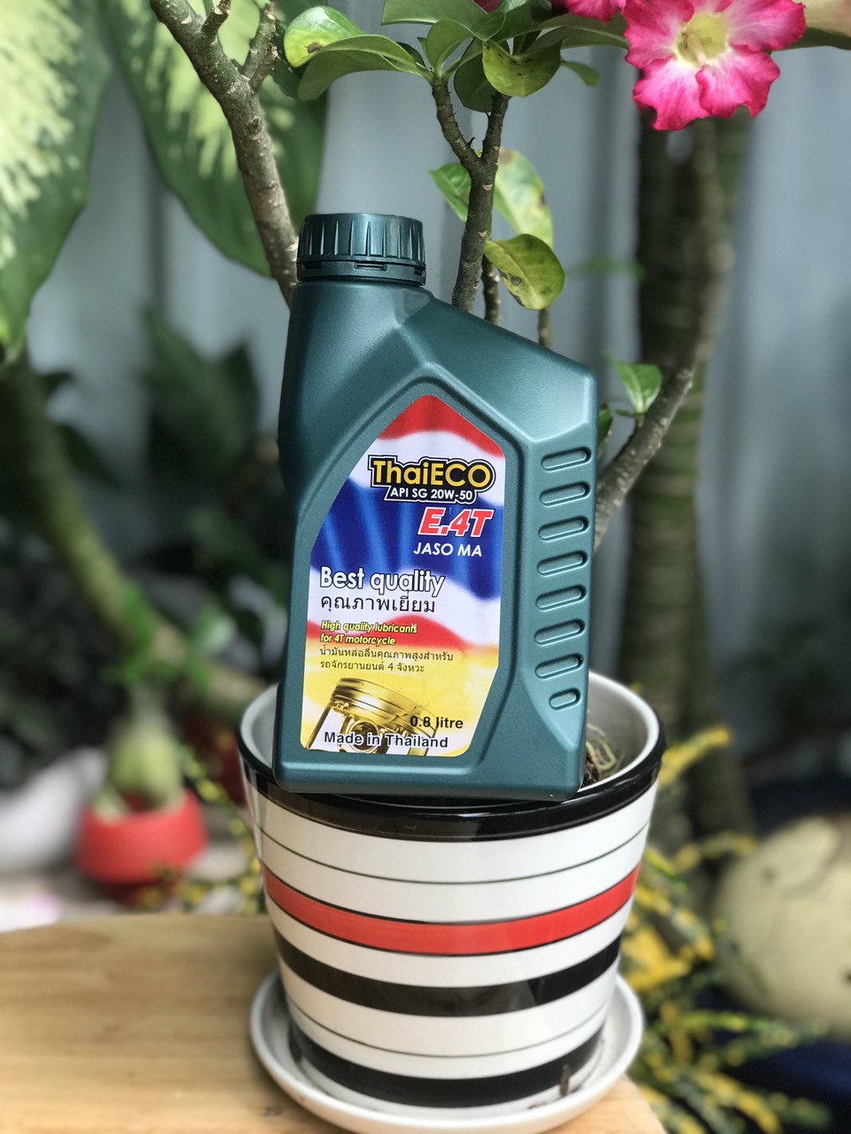 nhớt xe số nhập khẩu 100% dành cho xe số thương hiệu ThaiEco 20w50 bình 1 lít  ,phù hợp xe chạy đường xa xe chở nặng,xe hao nhớt,xe nóng máy,xào máy.