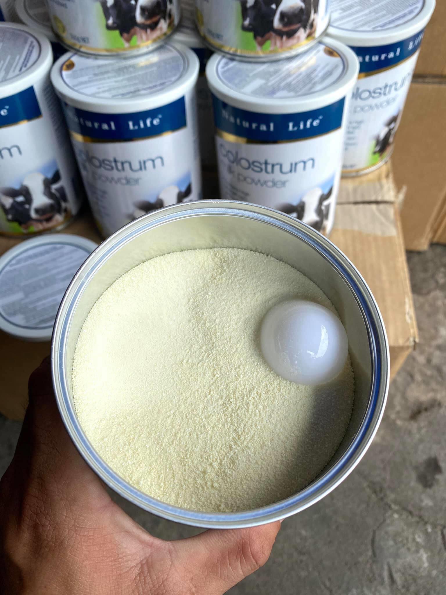 Bột sữa non câu cá