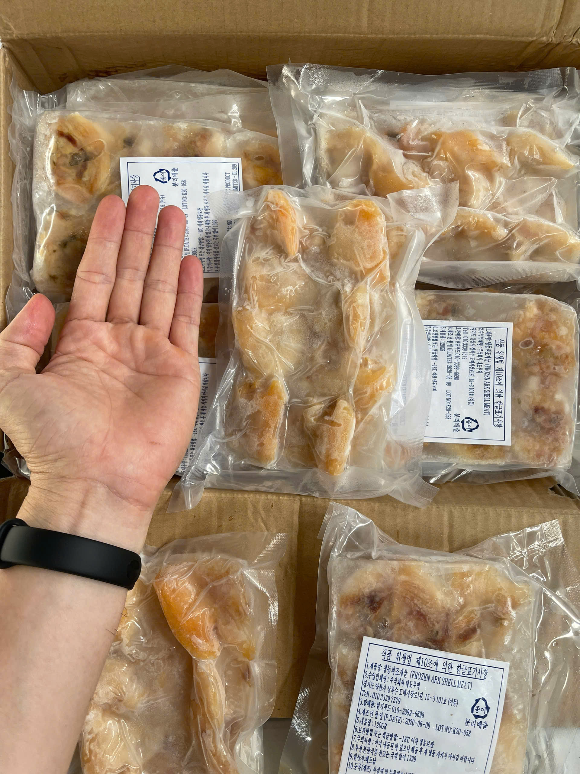 Thịt Sò Nước ngọt ngon tươi 1kg 5 túi (giao hoả tốc hcm)