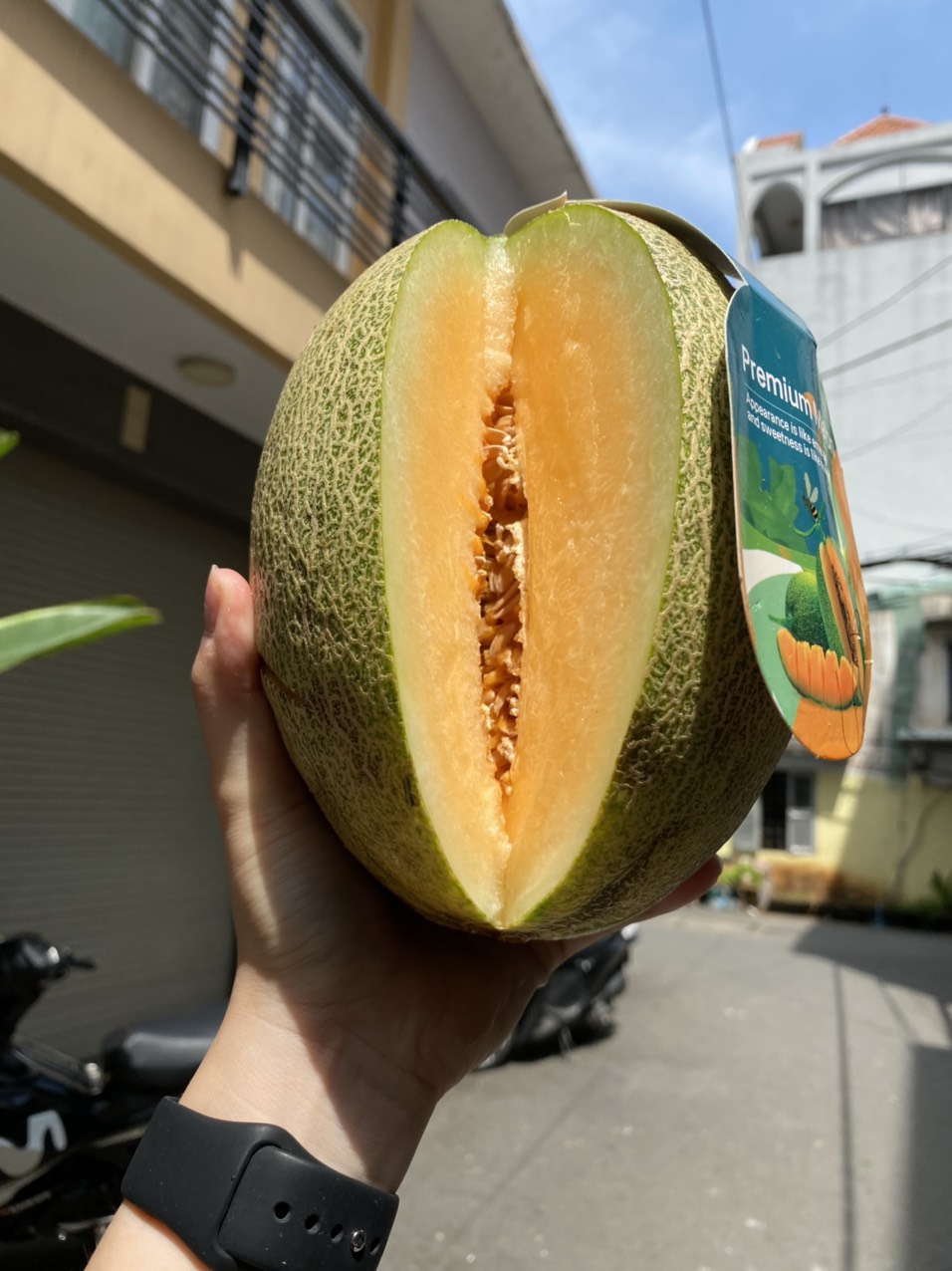 vg farm dưa lưới premium melon trái dài ruột cam (1,5kg - 1,7kg) giòn, ngọt thanh 2