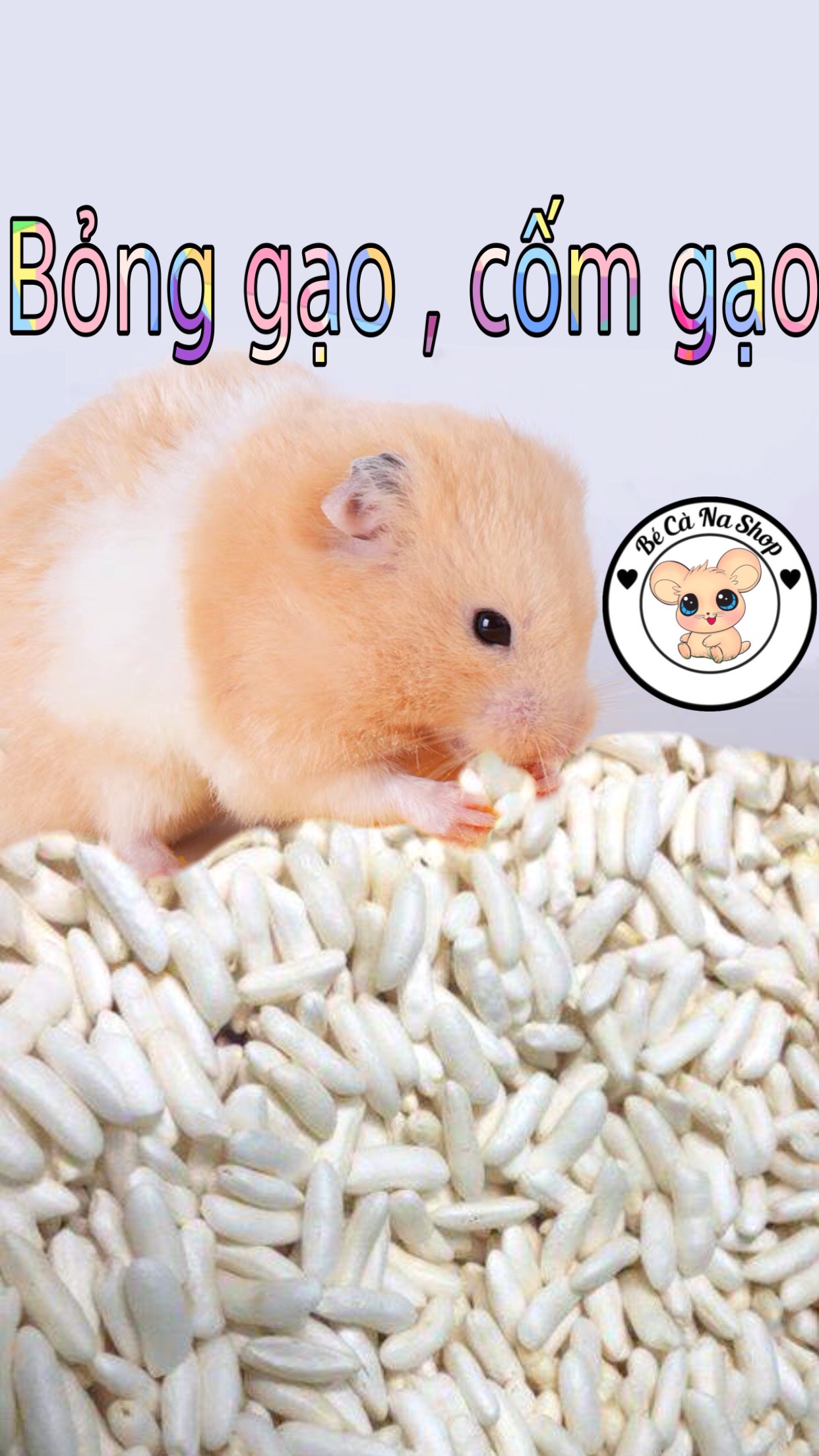 Cốm gạo , bỏng gạo món ăn chơi yêu thích (bé cà na) thức ăn cho hamster , thỏ bọ sóc...