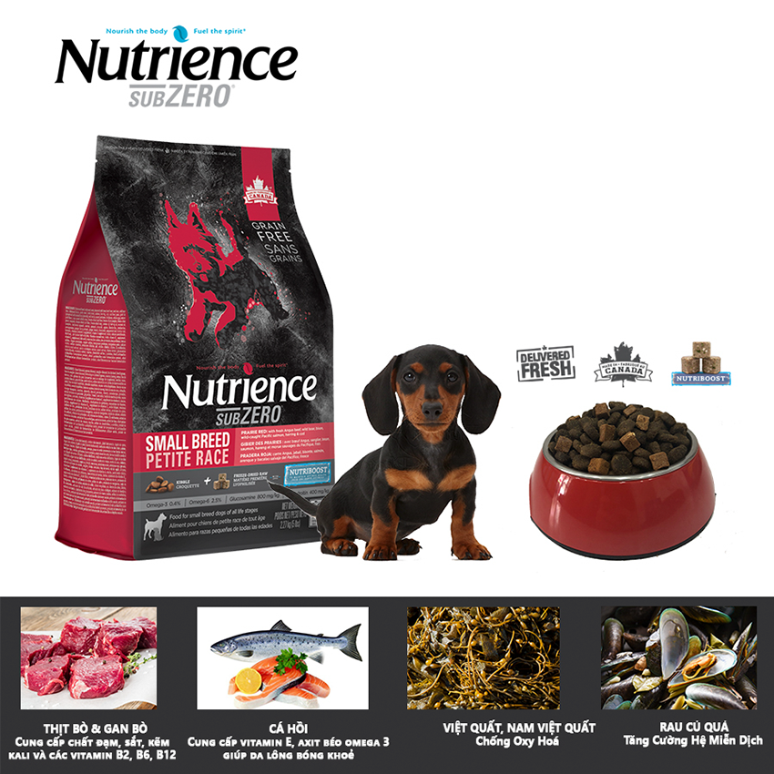 Thức ăn cho chó nutrience subzero - thịt bò, thịt cừu, thịt gà, cá hồi, cá tuyết, cá trích, rau củ và trái cây tự nhiên, hỗ trợ da lông bóng mượt, hệ tiêu hóa & hệ miễn dịch khỏe mạnh, phát triển cơ bắp, hỗ trợ xương sụn cơ khớp