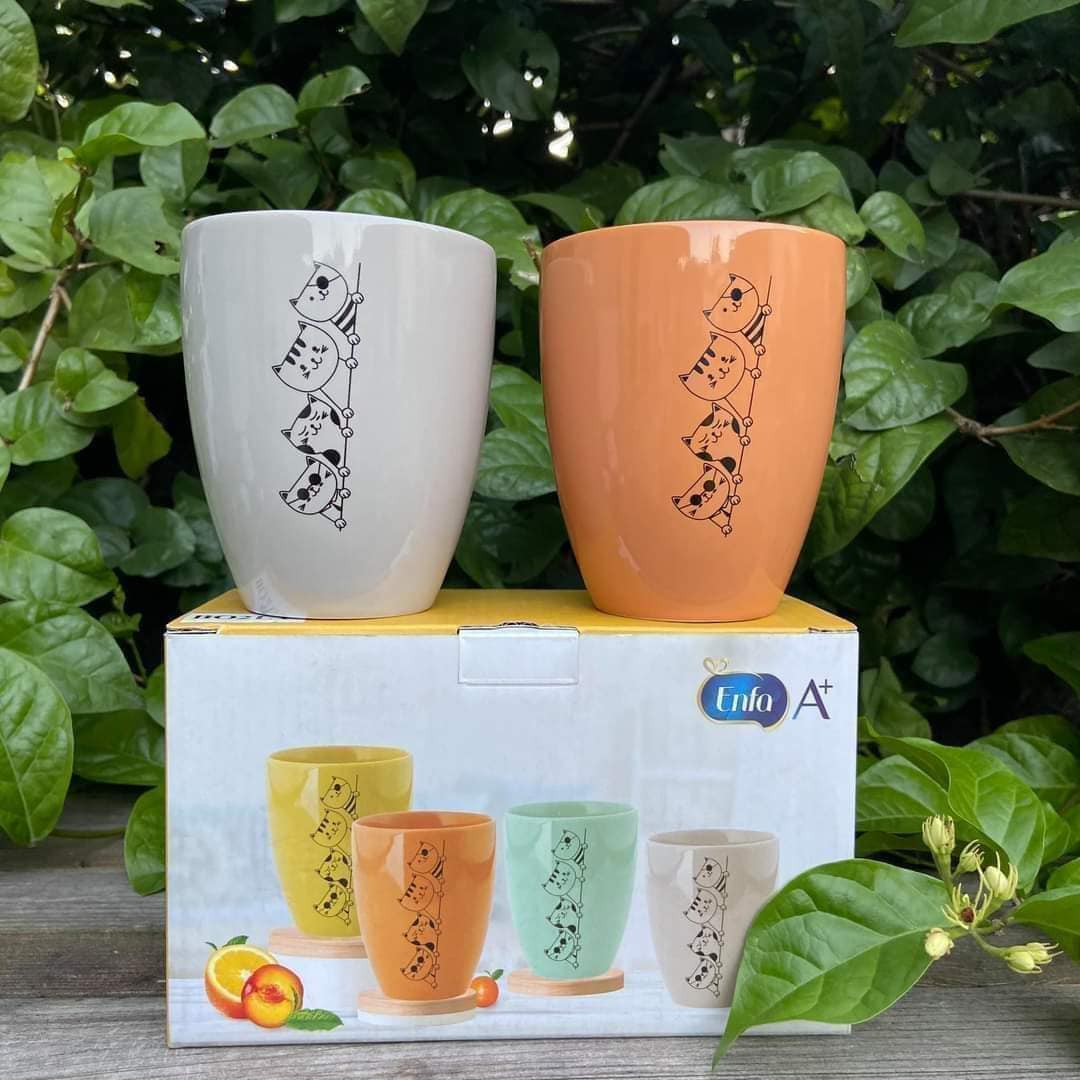 [HCM]Bộ 2 ly sứ Dong hwa quà enfa