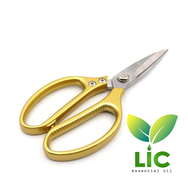 [HCM]Kéo Nhật Bản Kapusi Kéo đa năng Kéo cắt thịt Kéo cắt vải Kéo cắt mọi thứ LIC store