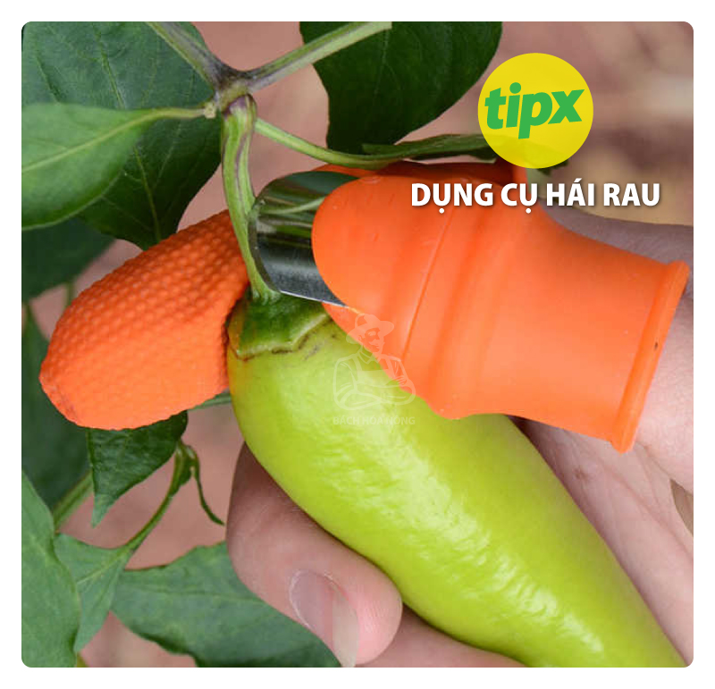 [HCM]Combo 2 bộ dụng cụ hái rau quả - bao tay silicon - Tipx